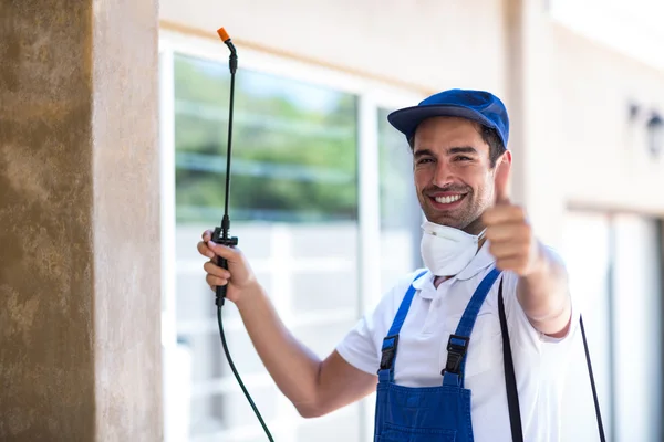 Copperas Cove Wasp Removal