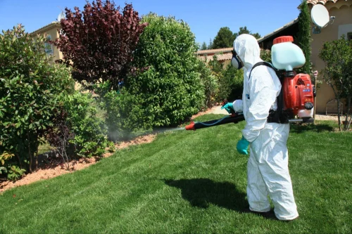 Copperas Cove Mosquito Control