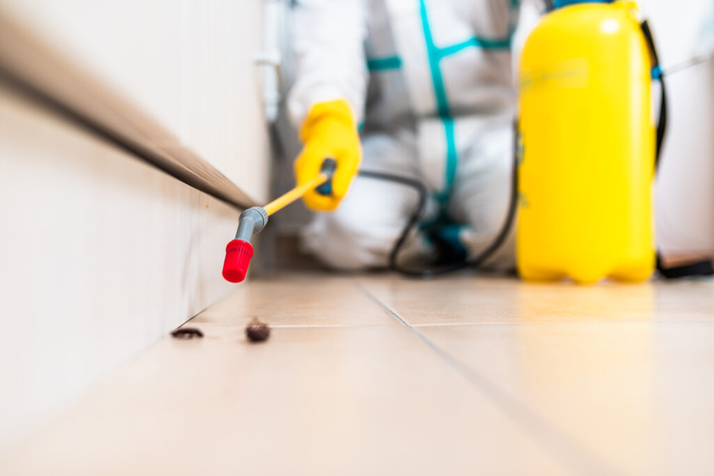 Copperas Cove Cockroach Experts