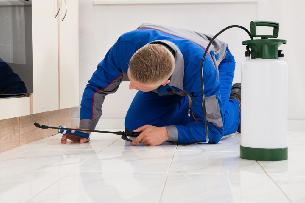 Copperas Cove Ant Control Xperts