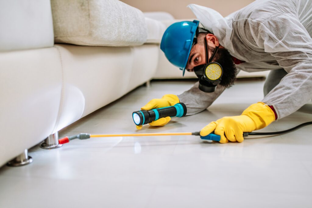 Copperas Cove Termite Control