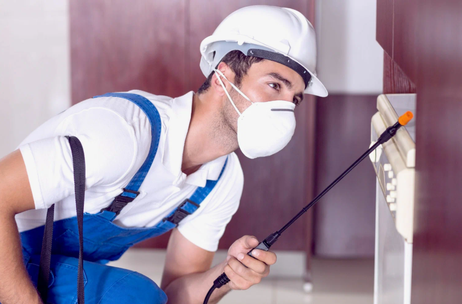 Copperas Cove local pest services