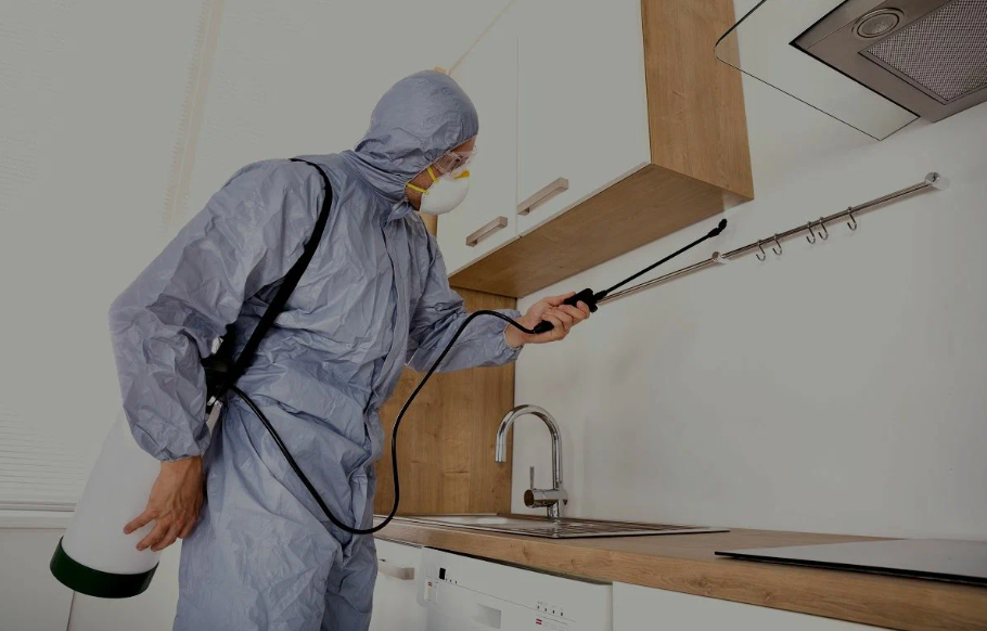 Copperas Cove pest managment