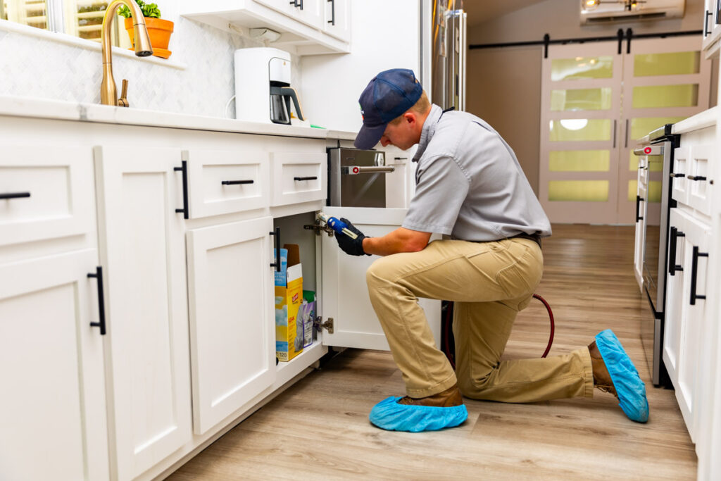 Copperas Cove xpert pest management